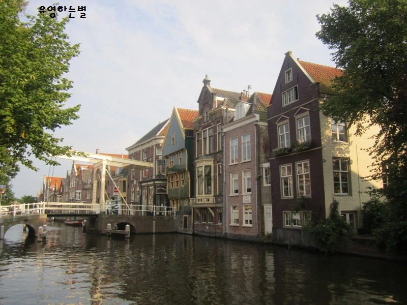 IMG_1457 네덜란드 배경으로 좋아요.JPG