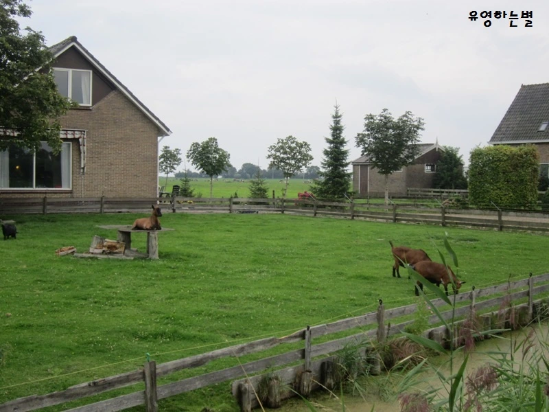 IMG_1591 - 복사본.JPG