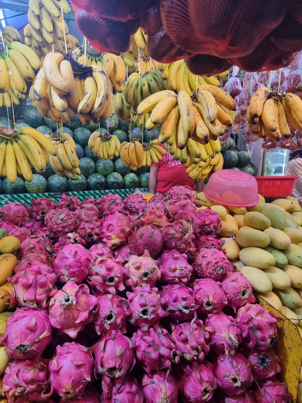 KakaoTalk_Photo_2023-06-07-09-53-24 006.jpeg