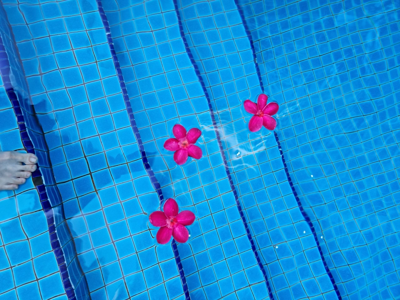 KakaoTalk_Photo_2022-08-29-16-44-56 003.jpeg