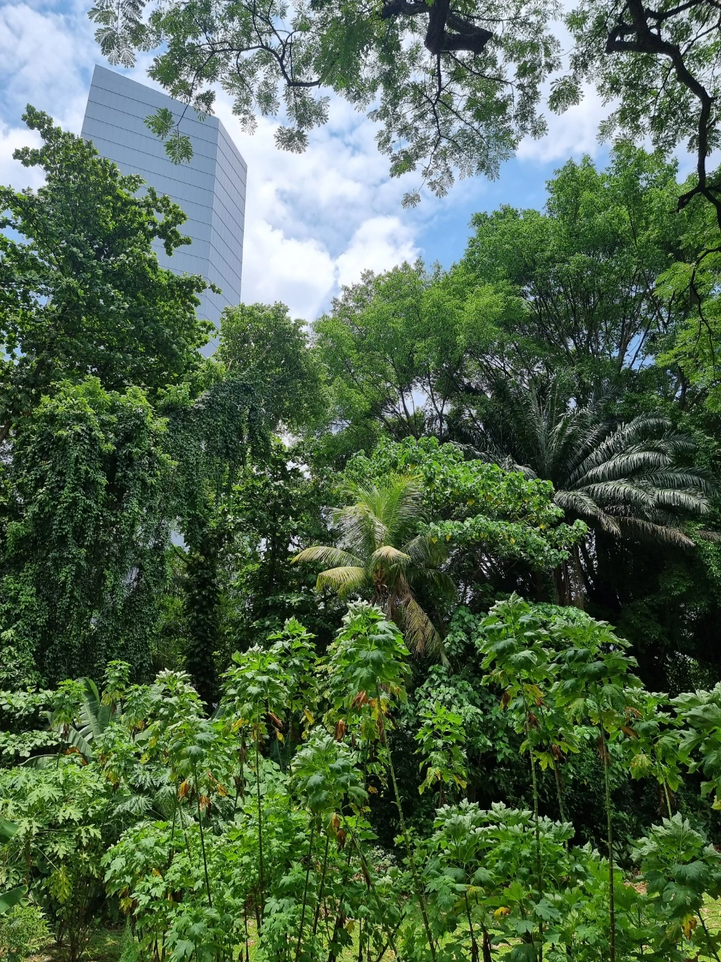 KakaoTalk_Photo_2023-06-07-09-53-24 002.jpeg