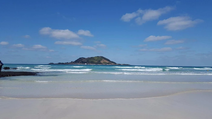 image_5158330081497456092428.jpg?type=w966