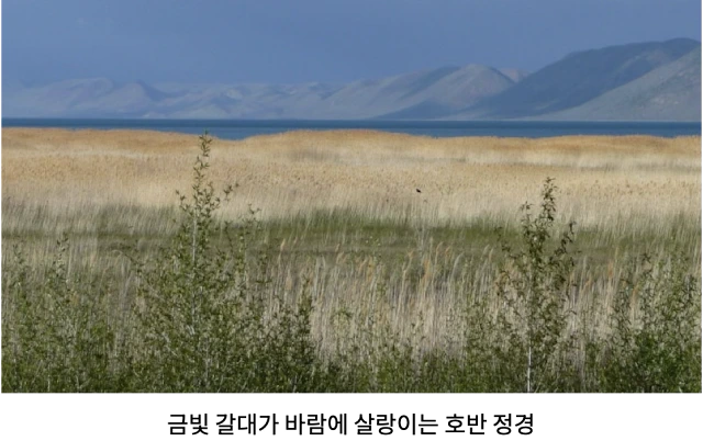 AVvXsEhaXJJBEZsC_UroBG_3KHWBklpqeZuBDUEz5KNrciIVY-zSyh8gYjsvBzFYKVdTDhbxLKV9ecQlJO3jCUyXYSMx7KYQM7zD4oGDz4GpupRan1kqWN8dPtGlKysdQhDLlqsEv1kh24Z8XVy5T0XlAlpBB5PAadIjL4HQyzJsMtnrwXTRo--lyDpsrRT6nU-q=w640-h402