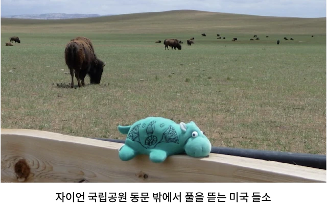 AVvXsEjB6vSjZddXNz3-iwKpdb-Qg0XeqaGBW8olcYlFpSeoXwMeFb_eRWkXa4F6IV4T7HsJa4gwZWCWwCLBN-tQkAiyIC853bu8w-TzlXDkeNt42UU7cLkVkqxU_hclTRVEaT8mbHtog4rtfk28bYPAAAa9XN7VSCiCdh6JdERguI_-hoUcj46p8E_RIYVFO0hA=w640-h402