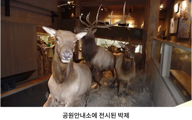 AVvXsEiybNNbnseyJv2_fc2NhEDcieAcTpDYC2RyJSLTDO--Fpdf5Z5LvFIRi6SPSUC89rTaixvL0-CVSafX9jgE1drvhC_a80_uNp7p_UZp5KTchYN9my8Z-Mkepz7_FetUNHLC5c1oKsO-daTRyrEUCNVNy3Y6FW5MLYUDhe_b2_HonpT876HZhRjnOHLkzB8s=w640-h402