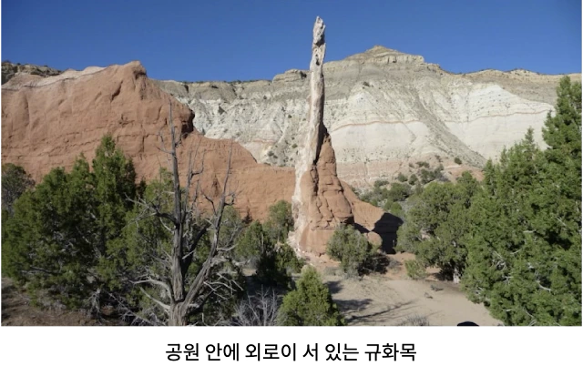 AVvXsEi-Gedmd3PzAYk88T70QuCLYBtbY0urf9pWitZLdVMImTQq4cNnCa4vLHfjXu4vL9mm1xdcORah-3OOf_vdNjUfQ5qoSYoKImZAnZ_jmj2zFTsn2lxfu1ztyKY2sPMZxyLX7sQfblkni1TtXSEvd8dCHiFXdl_8zumeonpZavX5cRqPe_LsokhO7jtoG_de=w640-h402