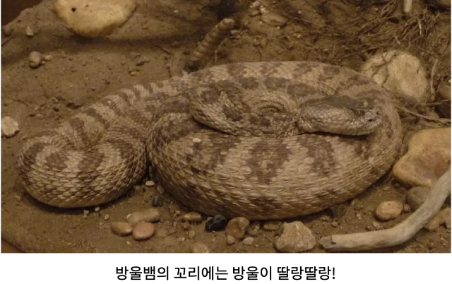 AVvXsEjThI04cUntSSZ1IYmbfky6KlMuEHAcifIbShQostsQ5iwftU02SzT2WIageFXYblUmBpG6uXaPiU87npB096B68jLL8Un73UDSQkTY0PAI4Y-iBG9Hm7fn1WmzT9GqtINlM9JVqDW5JwRLLJEqrC1VfefYZXhNV65XpSLpp_Tj9j5tIQLb6zD7A4FKcc5o=w640-h402