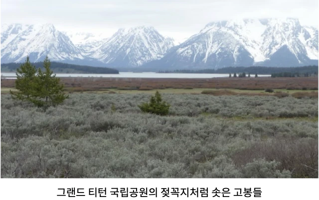 AVvXsEjUVpPDqB8V0mG9rjrz0ACFGDHrTNWXXSEvt4mbNdzyFp1ER-42TLAnJq4nXFZpVx2T6Ts5bMGgeBPq6PhbOZACEZeG7zeDiNgAXUmlGJTsbT9s7Cgq7ugDYk31jGNdapKOEFJsulLu8zclVSKyTxz5u8of8CvCrRwC4nXHXpwD48JTOrdl3yi526-HXQ7Y=w640-h402