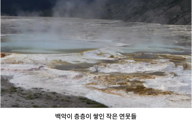 AVvXsEi2NTDUtczy4BJTr1uIibnuKRy42qwPypoWxqnma9bojhDaTAZ4X-20Xcs8podvNnopIHu9IpD0rrIKfY2KTACQCwZqfuzRTTPTQ2LWd5Wd48uSi_GIk9B2ymWwdrOB0zkTYvZp9iSOLUn4wd4a1LEwXiU_fESLgyOrr7FmOTH9-4Y8bZEeIjzWFwesFqvi=w640-h402