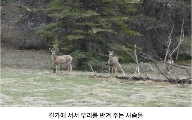 AVvXsEiwP7E4Pjs0mNHgl2Ni4vUoSh1T6G-I71K9hdRKs6jCTONu_jcKR_aZbGf_adNS_qKx8y8ZErPzzZRAW8BiDSAN_9-PxXm1fpxbZqXhJOcC0EPbkchQJLRLOGhRLzDE6-R0BgXymYRCXPy2C_QpGNZdAza4c07xAsslmcM43TLxQ5hOhOGIWAKBBKlT0F8V=w640-h402