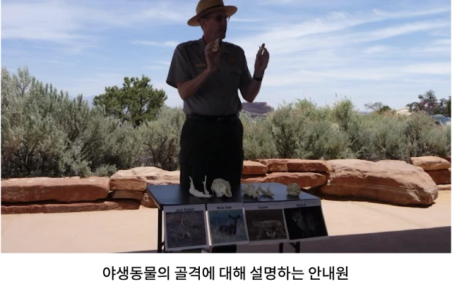 AVvXsEgqr7TEzz0FyB1_OPaoEvKM7XQco00HY1npGM-Wg4_t_VkfsRUuzWH85bhdc0Tc38oJrBL_OI-y3eBfpHQYlA2oIjuC-N7ClEul67miAZ_JlTnPU4Du2Wc5pTp64tbH96hL1y_TYpzWZ4xMTRX-aZX4MmBw0NLfcPlcAIhK2CyXodyuX8zDz_VifNmGEC37=w640-h402