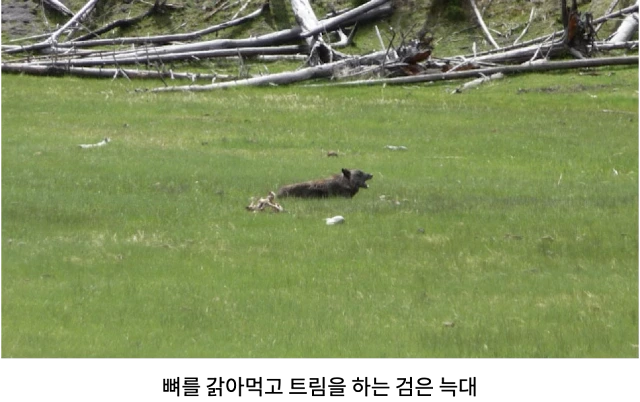 AVvXsEiPip_AAFdzqZBJWP5zqnWprTApmOWA5oatJ1PIqEyYvrNcwXwdjkWPdp2pTd7VZ7E00pXGJjtoMtaB2jOMAQo1DdBdFPyNDBGlviwT9tqbup4tXiNbdJBcOQCvBIHbrrDcfWQq9F1AhI1rTobGCRSvBvUv33YDoYirLxvxDU6DlaRdMPdZ-2RykjxLBJWw=w640-h402