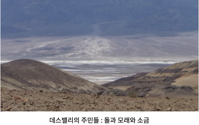 AVvXsEiDM67aBV6yLIj4pLbm7HS36yolLml116FAFpk-Biwf6SLiyNS23GnIrLy_XXjCL3eiiQu4lbmwZ0xWS9o-6cK-OCpesHU1ZlkM7kte7ZhTu8ZY417816UruGbRa0Vd89b9HZ91WgrHZcwI1kagcIebtydTAoP56wuGStq7WTbhWThmahHO8IWD3q5qOlDH=w640-h402