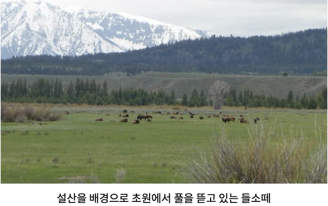 AVvXsEiayhKw3QE1xwFEaZl6W4U7nSEdn4zg9mVYnGc5GMXiBoqfpTVjBi5pBhBzuCdLtizSQtsSnBc-_3pl7ePIxTR8L3QAZgvuEAhvU7kJcUp0W8IW9blArx3axifLch5MQA-8tLHFRa54sBwSkSXfDU5MnQH6482w24JTTiHCofqOEjWKcvnP7ROrt0tHwsm5=w640-h402