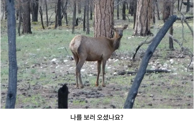 AVvXsEh7QpxhZZcfjTnALjiOTZGYd_kPbdJM1vOYk9eKwP4jbnKQzAn-xC6-CpHyMPv74sOkam6Hdrfs6PDLYeeJmgbSdUnW3Xi-leQsP_4gEm8nBWfKW3Cn03G0PTsd9tp1HQGXAFntTqnhkLJa5N57uY1FiVVIk2e5Z1YpkNZPKILv-K14mALLnDrK2r8wSTRZ=w640-h402