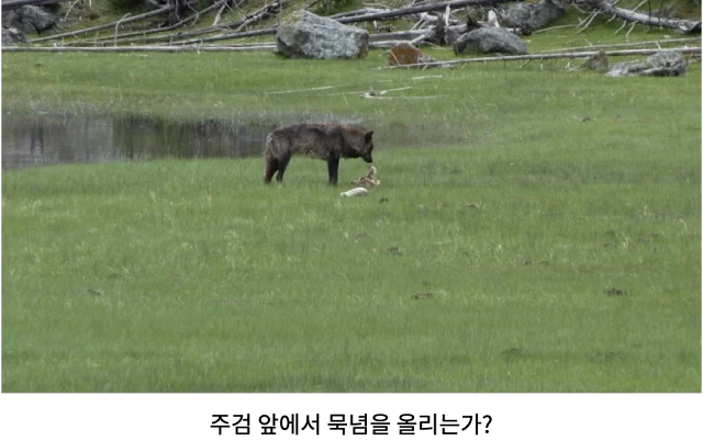 AVvXsEjw06k-7dR4qB71xUNY2yxpQxD4BoUgokW7TPYsMLJ33DpSxthj6IWxmg311fL33QZgSjlFIPHIBDA9Kc2695yU1tzw2N3S0puRouF3mZDW50gYzSxBtyJAMp3G7dh_m3wfTbB8HFmYndxRpJXB4ZH8QvDhT3YgDWuD_z-tE8_5nkPXnOUU66xQkxI6IX6I=w640-h402