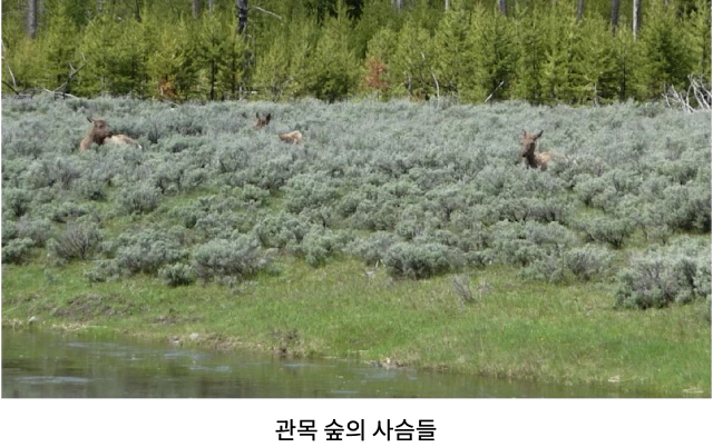 AVvXsEgBDO6byxdWayT90A7OdZ1ud_cvxzG0bUGSwqchgE4RyWMz4CmCe5M7_Oi2lrrZ74K7EqRh1eyNMg1Rfk2OqRH1morR3si2Y71wcRefWz0A_YXmj4KolbzqaFyTF6WJ_0u-FBHav05_qSgJrHNgnBvbHANmkLgWxdmEAmHD9QX-fJ3AzrAF1u98M51N0kfM=w640-h402