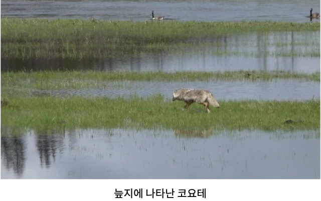 AVvXsEig0L4AE8ld7h2KFEylqbnJliBE0DmCWBJQQdkX9uTKcK79xWLOc5DExCvZ1uElamvfQO4mSjR6b1VtZ_IXgJGrTt8H58uiIr9Xe9UUgGJeqIVi0zPiE4xPd9hgIqEURaYAYcL-8o2c8wB-T9XqaCyvPY5H5zQAcfJZwBCJ_qHSO3b-au4lR-GngiltB0x1=w640-h402