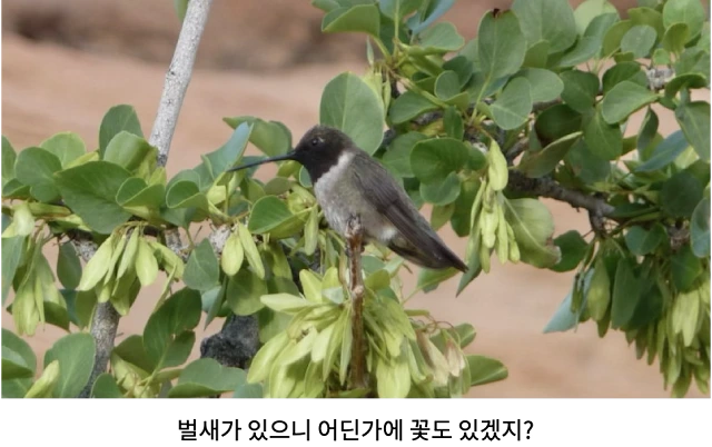 AVvXsEjP00UqR16fD7lVxc1-r_klh4FDRYx4nztXENppZqLM8VE8khUueCRrNtuNFGDNAYQPFCGJbmuXET6Z1lzE-oPmmrKgt-1tOv92yojpDfnN-zhOwZ8gGb07pAjHuCLBDlN08FbIPAqkcmtxjcJ7YFD1a37IwwKedp1Ih2Zqa38t-e_7d3FWnnmNQhZ9PA2x=w640-h402