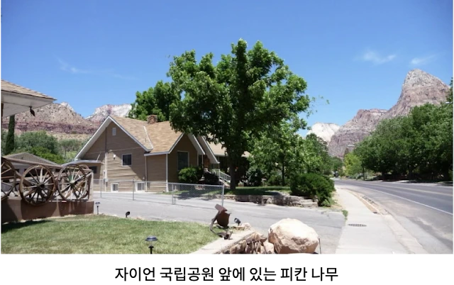 AVvXsEh-Chi1_Zmm948Cm4O4v_zcWVzo5_U6o4IANU2dNLPkf6O7LexuRksDIn9DpoW98LyRRsY3q9A03_WnJb12Oagfmv0NhF-iFleJbLptl42KcYM13PbtSD-vKAzOHpVj_uxDXNCW7WhisdTBDAnlIvCgtPm-NSvTUdPKxP4Wljs-tPgUYadwtGE5_6mhAO-P=w640-h402