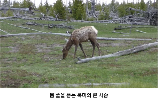 AVvXsEhWSREbWOTodguiUMpZpct-F8uXl1n3doIYeBWMBYtRuFwMbwUz4vWBbAuH1dVlD2iAKxPHndudG8TUoCNvUGAuqwfp5_MO9BGUN2il1eykRydcxNdZdICrSSKpoXOhijrw1L9vcNT9aBX07tw7GM_ea6DBcCp40bmAYfplA8QtKTMy6Gq2szhAqNg7ynCF=w640-h402