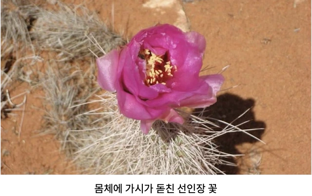 AVvXsEidpA44Dsci448HG8vM7PHlhm4HFRSmsbUsaPZaUZDHCmrZvdVfx-oWnaVzBS7fw2CDBxFzJdHGVMV2D_aFRKOSEtpj9rEM4XQ6Sn0fO9vJj6hhOzBV8Gqil9DglzbIEfMw_Z0pcw4l3O7aiPLBMZTdhSlrb6CF1908cMsZFBxMRExH64QolOQiMZ25bSvI=w640-h402