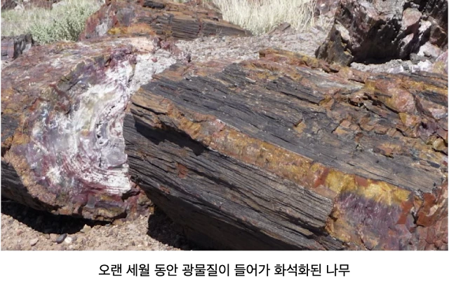 AVvXsEjYdPWW7si5gA7wrnn6YMvZEXKVCZDyp8NDtAc94UTibt0KNfDQBoVatsErAGkQZ6qeGmSTcVdqLjrA4Z_lEf1KdcLhpv8T70YeWld0e0BHwaJwoTDbAhlelhacw4MT-gG7Alx7iqEwNdSqBjVOs2jr95-sth2OdKYvE7LDerrHyTGvT4avyQzALEQ_MFMV=w640-h406