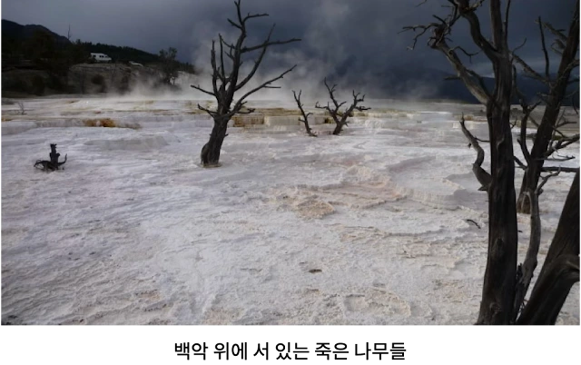 AVvXsEhvGH1jyVwJwaWZdL8Xk7u_IFJ0OxGmqUHfTY3PYHgqvmyBut-1ZS4j-HAggaLEmyvj0U5IbCtZi_ZiSooUcf63HzgrLm1Uwzj-R8c-hOkOzx8vf0QKA2Uqlmv0Hg2nfnUWOpiDuvL_eqHLtad2TOHgCUL7vTinInONQdM64Qc-rH3lPc8p-0g2glxcpNhY=w640-h402