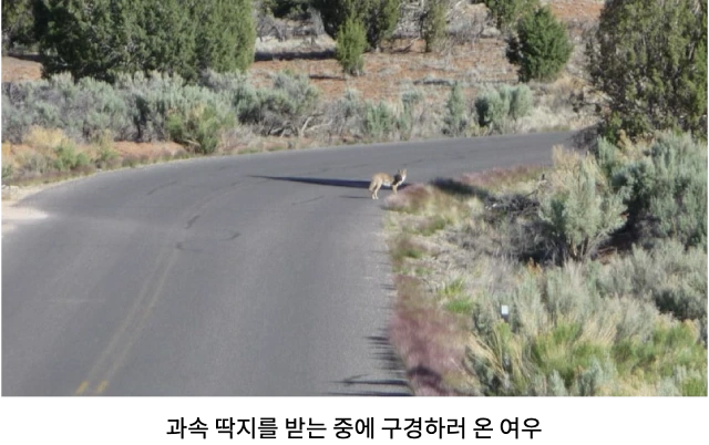 AVvXsEj0ZejZyiy2RXnKRM0mJG0rLUoqxZBJySzoA-BgOT2R2b6XDQ6aqHiCQDmojnuDH2jw0xec9XcKXXPiPKhBjTKJfMtIuPzmsgOqVRJb4W9T9VDtvNAO0GybXiP1q8hC-VfnCRNoFlTS6U20LN3LNmV87cnEBPXHwJanV1iEg3zCo_IzkKutZFU_-FzzvmFN=w640-h402