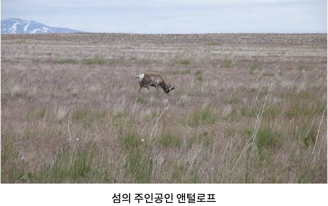 AVvXsEi18NhluME5kbdWeNeqo6oKppV6i2FM4uIye25VKUx5_HjmTvevUBAYQ5rnhoJuaCYpClrKbZValMnDV4d4-j-dsWJO4cevfCPD83bhdDJw2UvxXYX8dlfGtmHixmCiF8zB7jlwm6nK0CRBnxnTdISqwk7WzhkXDm4ePQoG_YdqMrRhCVOlyO6O0EAa5bQK=w640-h402