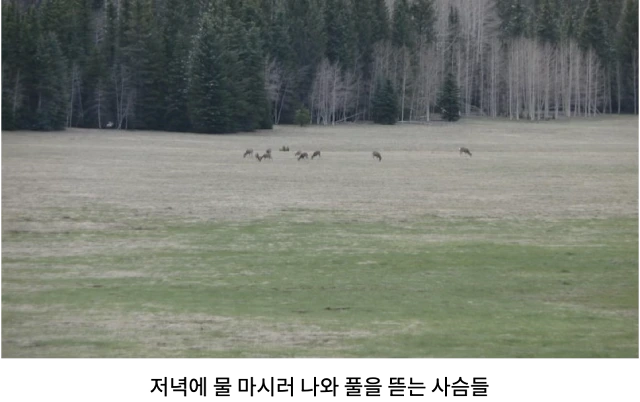 AVvXsEhbIDeLpL7lgV7RHE-rtKt0VOc2uiG6PTOt6pBxWP72rYgzRxkETEo18PWcpoGLOVR7lqx0msYZGCIme-AsJzpDpX33UB2sOT1EY4kL5Ko0E4gdWtPrW76g7eJbA90pIY83OjkIKVJpmbMPfVZNnptzzJWNvMSlRoCIF4H3rstOUfKzigj6fbY8QA34-2-Q=w640-h402