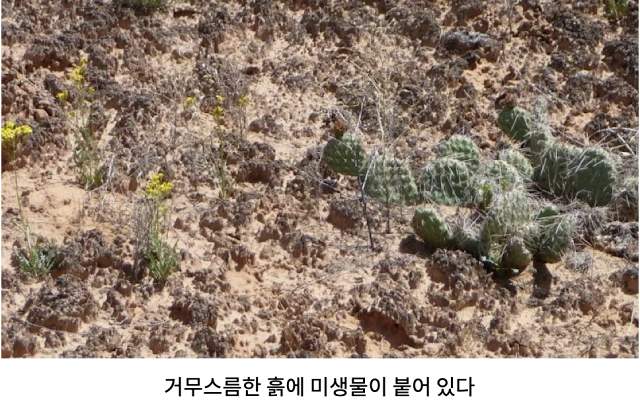 AVvXsEg0Fr-XT7foCFCECzSJ8p8kYVppZEZ6UtNCuBv44CBCAUcPGraxk7pXnOL_VKlw6xJecNDRw5zPJU9q6d5F6fu91ACU_NAyosWRZh3wlBxfrjxKFvStoMxWnZusH9dcAoCJfeOdCGouEDc4PS2bogXWzQT9touLcHRrYKC6Z4LhTgRW_ZBzqXqlzOESEZ6x=w640-h402