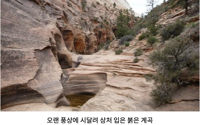 AVvXsEhYwN7wW1YiZOAiNM4plEeMuiLmGHIE5i8mnNvyDeuVpY-gTkuNKt8xs-NL-DRdWALXy4BoIP4IbWxHfAXiWtEM7riJbVeAYJk3OMu3MxEw11ExJQX29pFsioL8v8-Id4-x06vH6YD4kh2Vd3JYK1-_peUr35yVkH97BxQSdNOjfm9xA5RYKFVjswTr9oY-=w640-h402