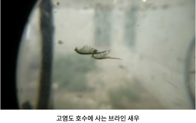 AVvXsEgYaCy79wG_p2hVRtbjnr3bwa-M8QxQbGEzB3BXeO2Q93br1wFRG1RG1hQdhEP1OMMZj0uh44O8VfAUw48nQElZoX870oFhMHucpWXIMY9s-wZB0e6SPAVK66UcXZP9ItSl8oHoZsTZxj_o0icBdGbnp7E_F1iR1QMK1XpHUaQQqv0ywssPrfclUh8kG2l5=w640-h402