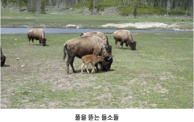 AVvXsEiIoVPPFg7UbkhGo6nSrZ-zoqaSTMNSwTLlvjoJAmTAZa9mXahH534nbV4MU77VYVjFXbdu-usFcp54UdePQkrJwF6LlpLuFGNPYoAAJ4mR4mGDywKHtvUxKKfdF7t0Ih2zzZK9UFlifneBxacmRLTiHwzQE7DWs7hEJw4dXunQChBBQd4bnbhyrs9MYz66=w640-h402