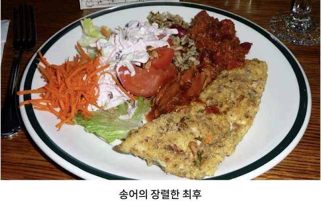 AVvXsEhFhnwHIaSJ8mgIXCmUGHYAXSbTgN3n3PsCB8jrKejkvgArvMhlRwI86Oh6DIIcfo4lF06msXcxTJ4PikubJBNBp1X2vgKfpTUM59PR2YwRVzOGtfq_Sek4ctULcrMHtyoIAY4W2cagN-IziBsrl14cqIlagG0RIiaIzU0E02t-gBCrpsj52WMS34XxqWSU=w640-h402