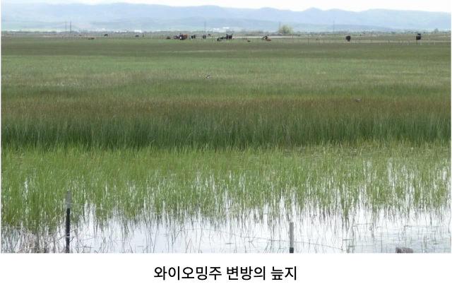 AVvXsEgwz5RJwycuTz575lb2N2rTq2ejp3KpZ_5ytojQW4a4uJeYjSYffPmVl6q382h00OEtyrP0BMO7H6jtFb0vRpmIkIilU9VcOvB98Id6-QQ2n644VBb5tQlZ_aKaZTnljIvrTXuctqDKGkPGBiYKdVoGu9W_-XuNtnbbkPh52hHqs9umNFRFLYs1FWx9b6i8=w640-h402