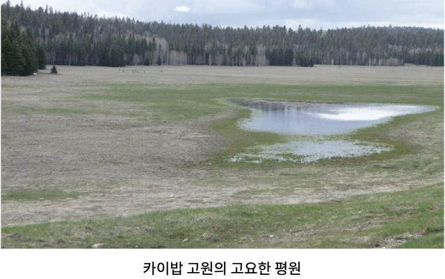 AVvXsEiME85XfgyuLHiw-Oor-ZQOarP5wsJ8L4QqQCoH7LJWWSl0_A9YKJyniOwdW31EEOPWvyLauI9VXFZtHzEyDa5jGlUitv5KFtPzPgMy-5pehg53SaMN4mdlN6hv1hSGa_twClJfvsNSvQHEdzFbZt1kdXMHAGlGjn9YG4VdO0oUPJMflTbedvwnxFHYCwqI=w640-h402