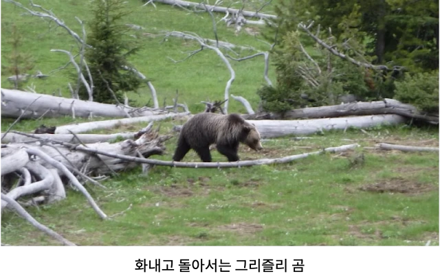 AVvXsEgw67CEWirRGgAvkPU-6eMNdm03gKMYiuL78WIz3yP-Oi8S6GrJuZy3pqGAj1oro0_qx8b6ZMo1xGj8-F-7LvEknLurPsRKPyWY1y1lKaMdUggBxkBgSdS_dxPjhvUpdbV17aiGJucJKXv0GQ013d7lSIskQD2lwgJivBwHGJ3f_LAhj4QwOqS9-X7p_3gj=w640-h402