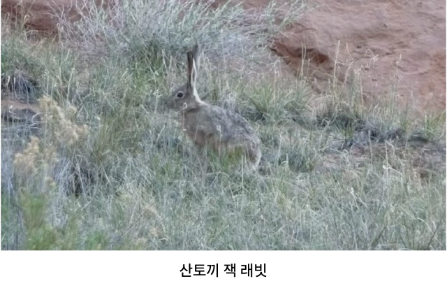 AVvXsEjZEVic8sOXEVEFCxfdUoscXTQG6PyBAHUFyf6QuiTG5GU_c8GVO7TPxtrZOODEoEiUnnaD8yN7v4irv0f6zr78fAVyCT0IfkL25S1OF2GEAhswByYIMBJ3mCbXMNMy2wwe2Ps58V_E6qkN4sZRRhr047XJEqwFyic_kxjSV0L8WP9E6dIcsJCyuOs4jPMt=w640-h402