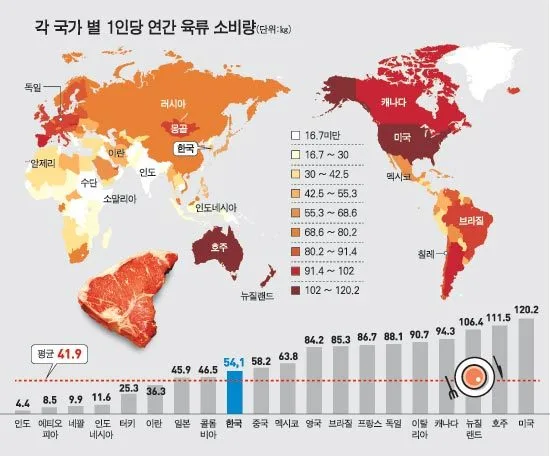육류소비량.jpeg