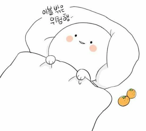 이불 밖은 위험해.jpeg