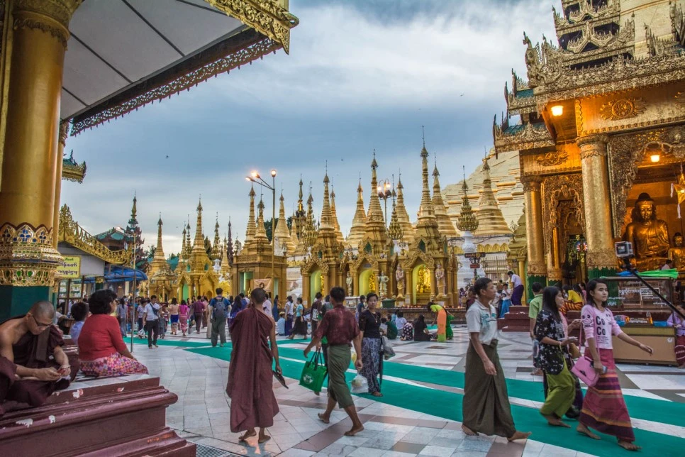 DSC_5257.jpg?type=w966