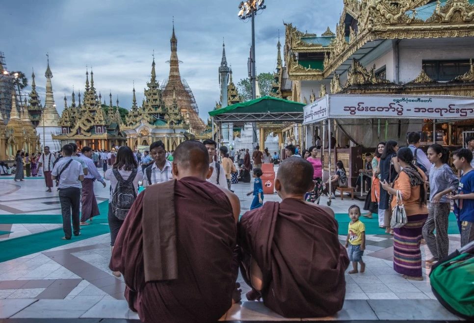 DSC_5265.jpg?type=w966