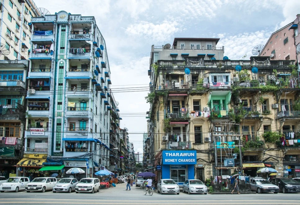 DSC_4682.jpg?type=w966