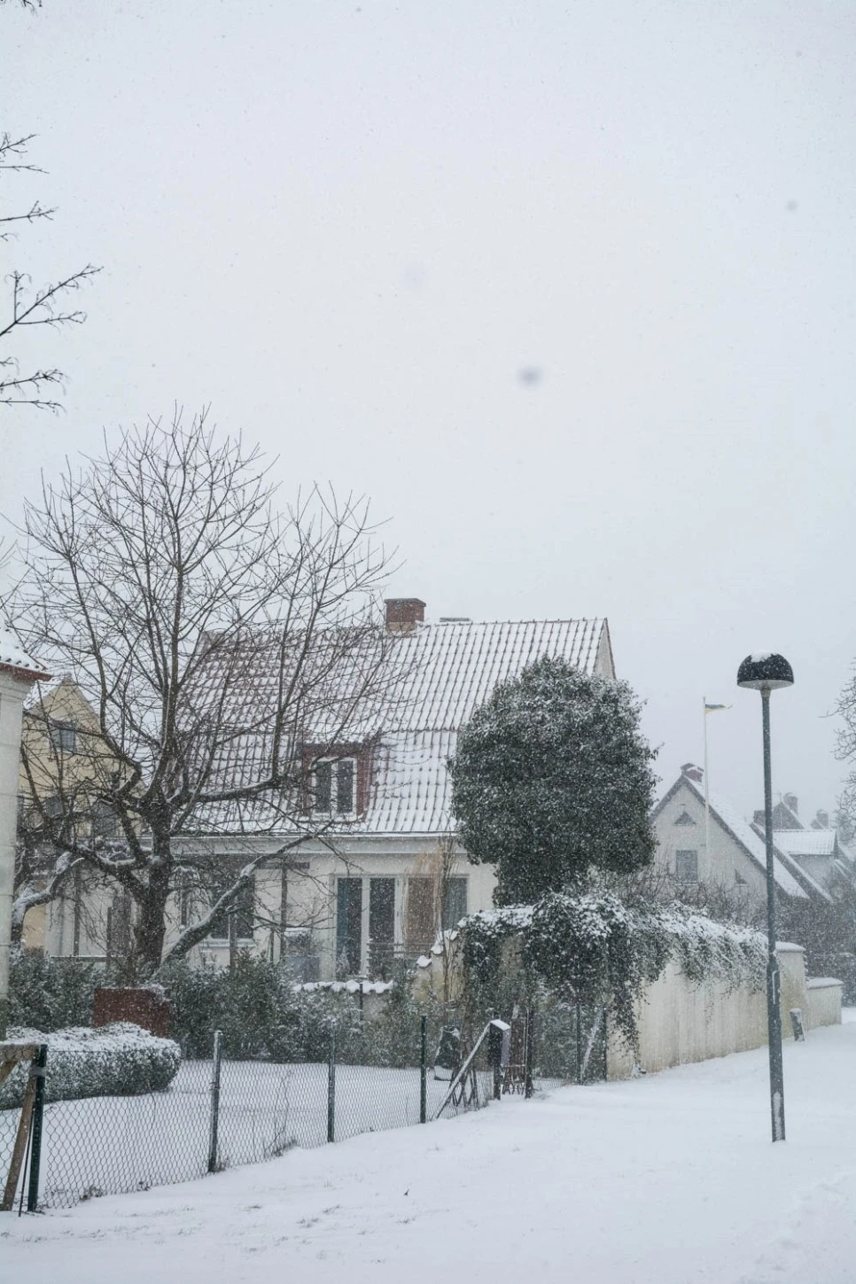 Sweden_2%EC%9B%94_%2836%29.jpg?type=w966