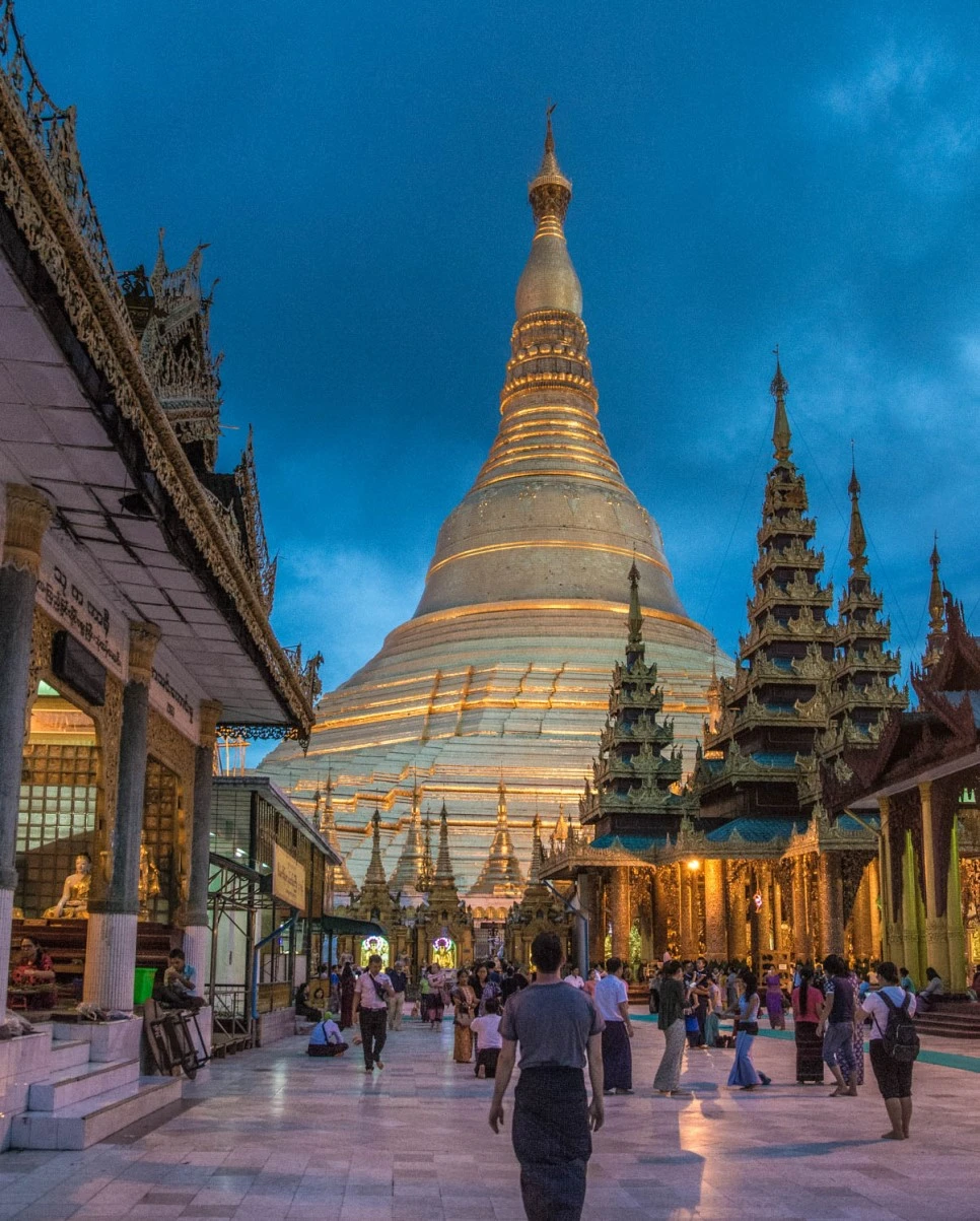 DSC_5303.jpg?type=w966