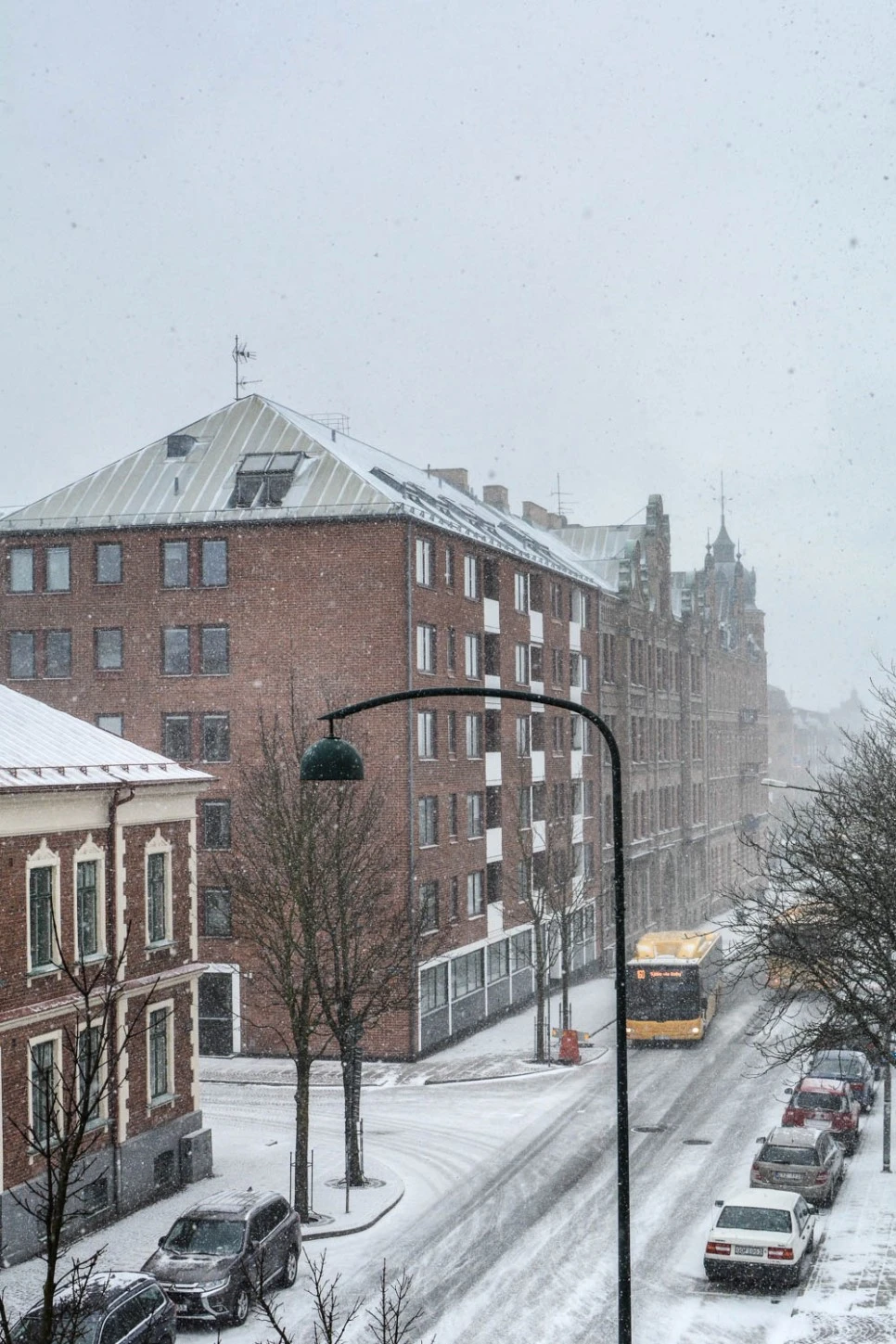 DSC_7035.jpg?type=w966