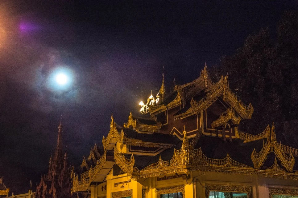 DSC_5350.jpg?type=w966