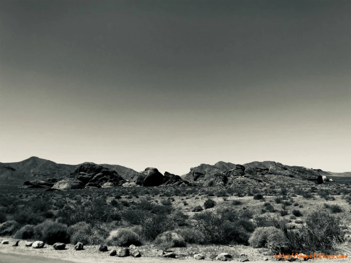 998CD4355ADB291E02D8C8